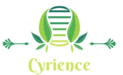 cyrience